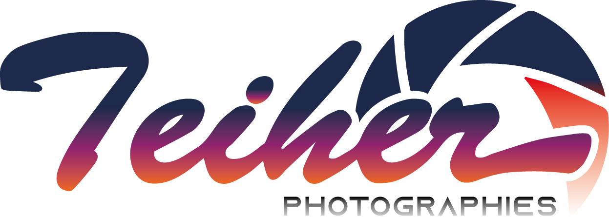 Logo de l'entreprise
