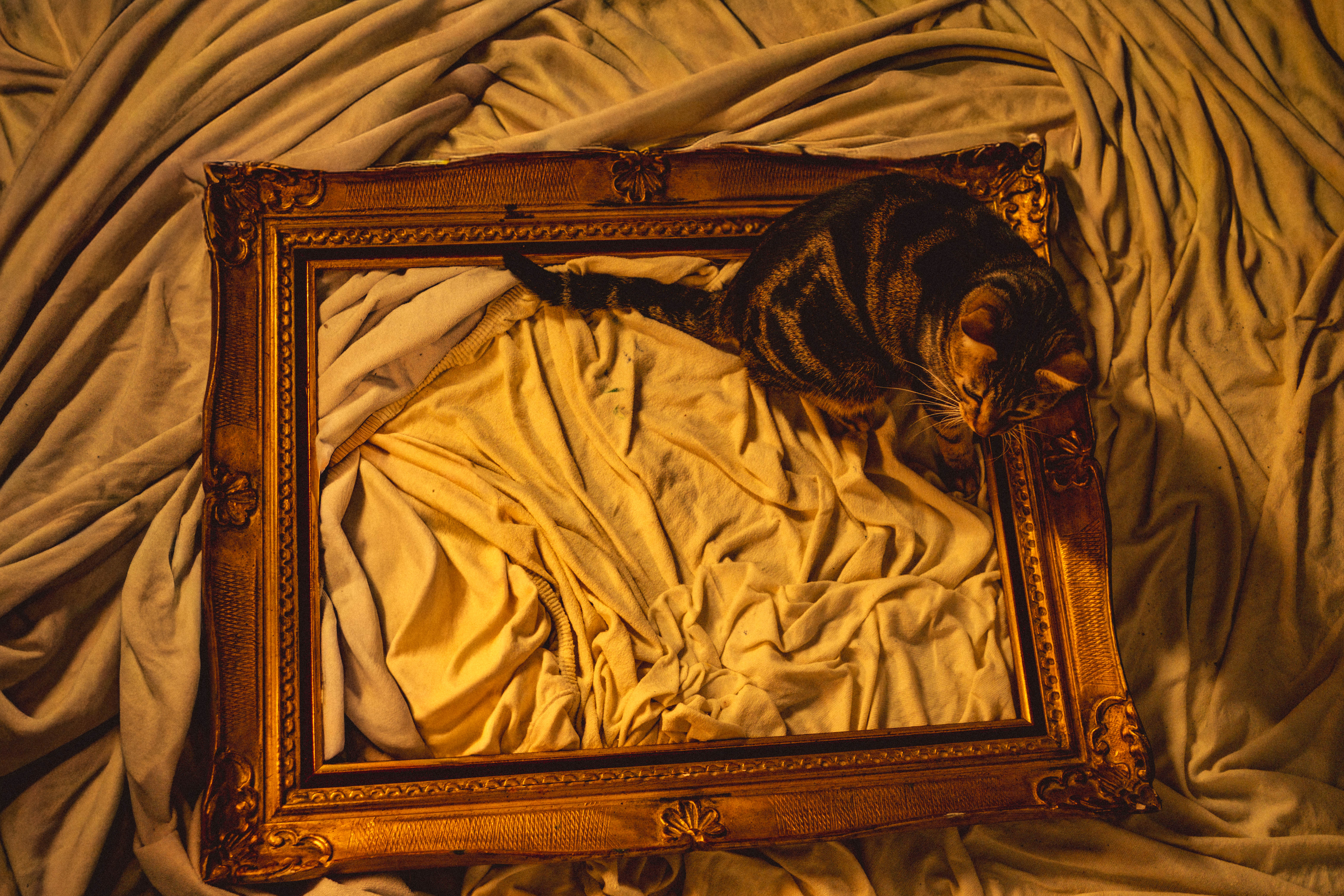 Beyond Frames — 18